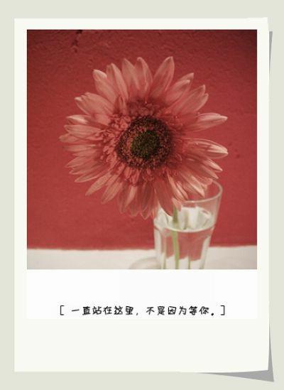 彼岸没有花,所以我不再期待![日志配图]