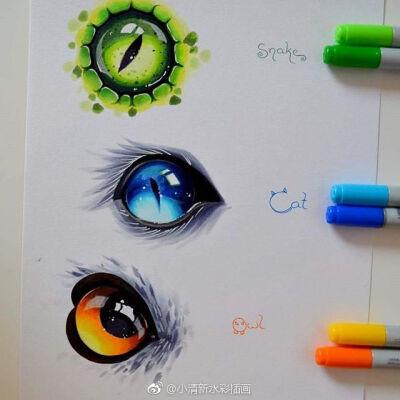 猫咪眼睛马克笔