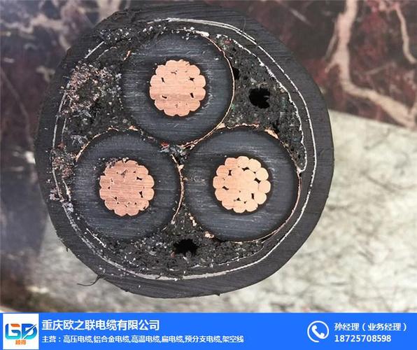 [供应]渝中高压电缆-高压电缆分支-重庆众鑫电缆有限公司(优质商家)