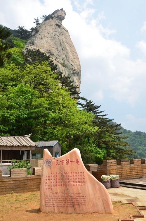 人间四月天,麻城看杜鹃!