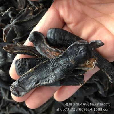 恒义中药材批发品质中药材清水蚂蟥 清水吊干水蛭 水蛭 各种
