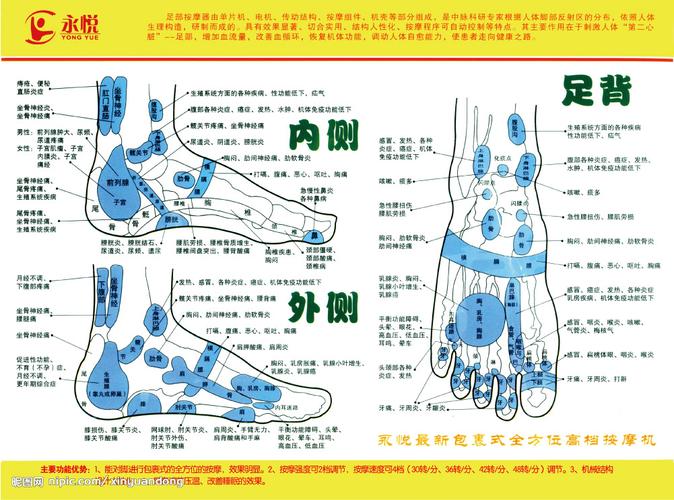 足部穴位图图片