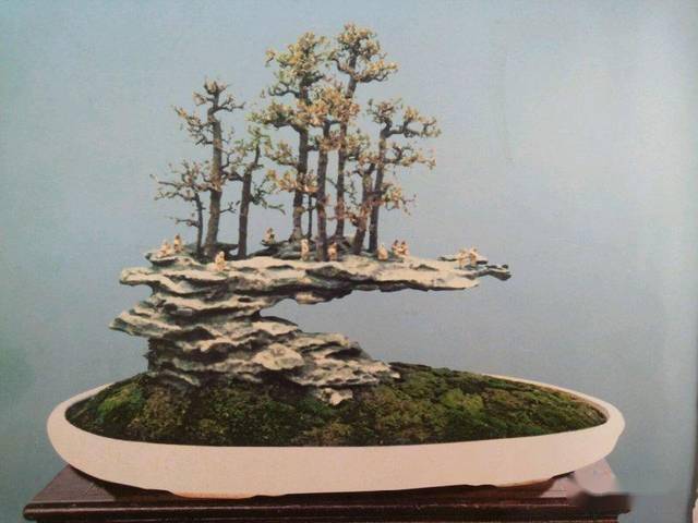 (图文)丛林盆景造型制作"四忌",你的盆景做不漂亮就是