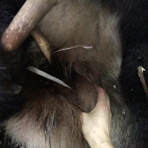 巨蛋男孩等等,我的蛋蛋也