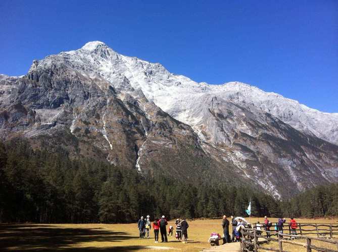 玉龙雪山云杉坪