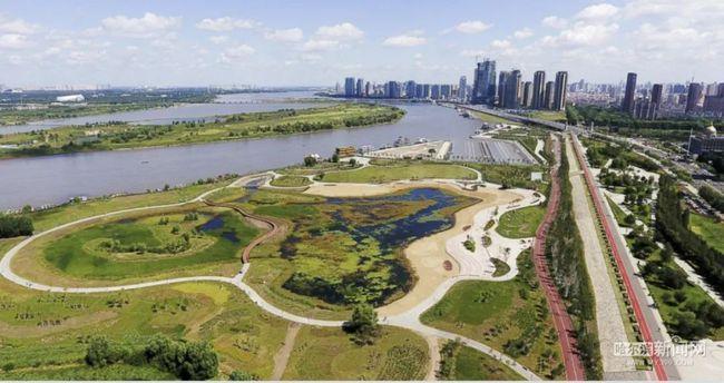 哈尔滨群力湿地公园哈尔滨的郑学清老人早在上个世纪六七十年代就