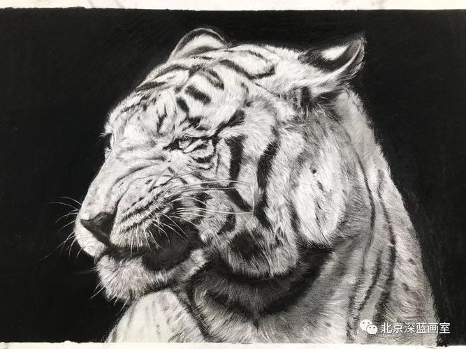 深蓝暑期班精微素描作品每一张都是视觉盛宴