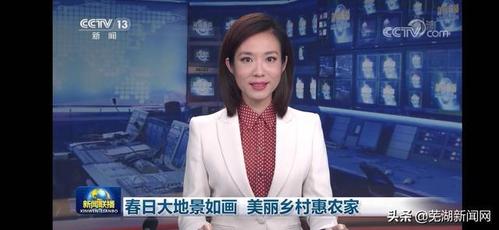 央视新闻联播聚焦芜湖响水涧油菜花|安徽_网易