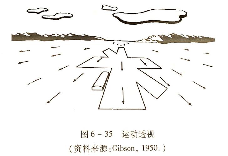 近低远高 (5)纹理梯度(结构极差/结构梯度):近疏远密 (6)运动视差:近