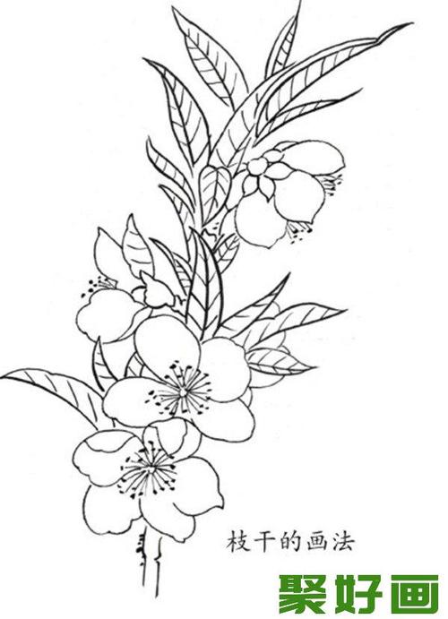 杏花蝴蝶白描手法步骤教程