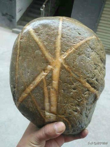 洛阳洛宁农民曲建涛收藏河洛奇石,10万元三块都不肯卖