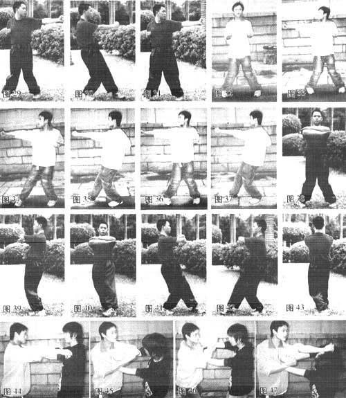 [转载]咏春拳秘传基本功