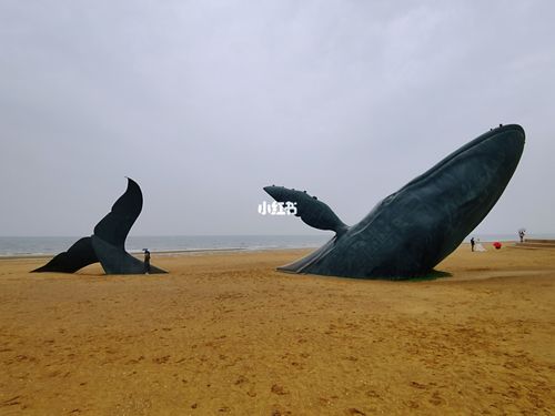 烟台金沙滩鲸鱼雕塑 | 一鲸落,万物生_沙滩_雕塑_旅行