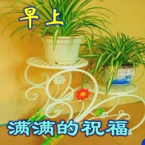 9月5日问候早上好图片带字动态表情 早上好图片问候祝福语句子