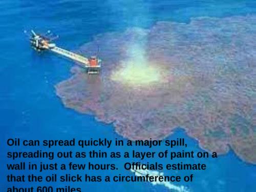gulf of mexico oil spill!