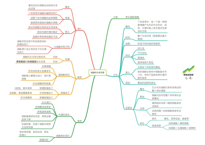 高中生物必修一《分子与细胞》思维导图 · 人教版