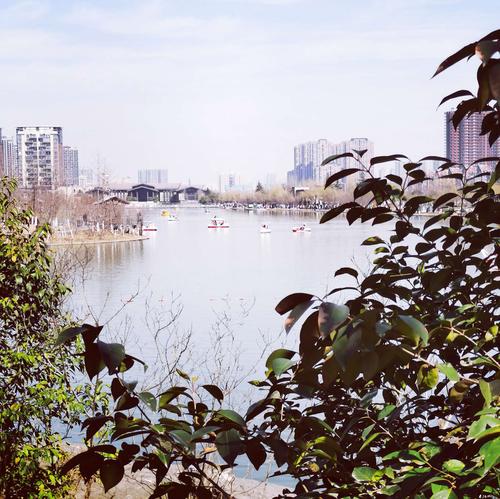 春游雁鸣湖湿地公园