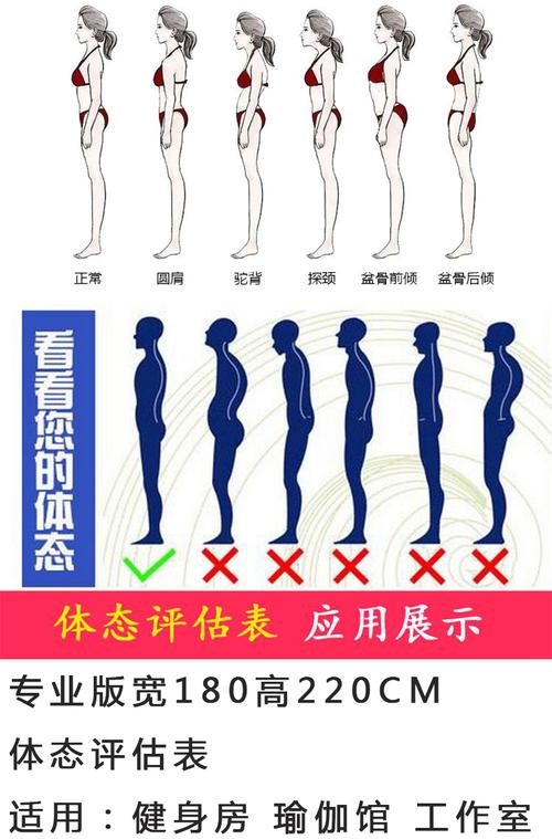 体态评估表墙贴健身房体测网格纸瑜伽馆私教姿势体位背景墙体姿图