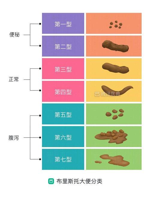 要从次数上来算的话, 成年人每周排便 3~12 次都是正常的.