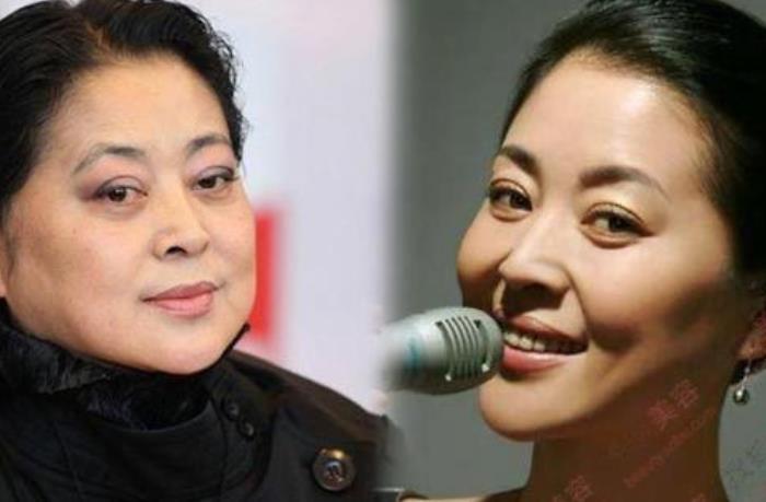 倪萍为什么老的这么快倪萍为何衰老速度惊人