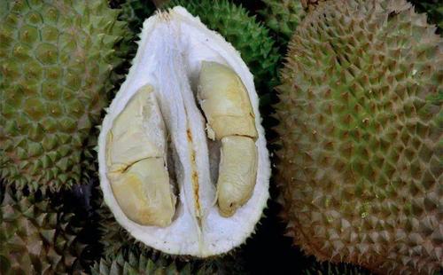 【大马果王】对于榴莲,你其实真正认识有多深呢?