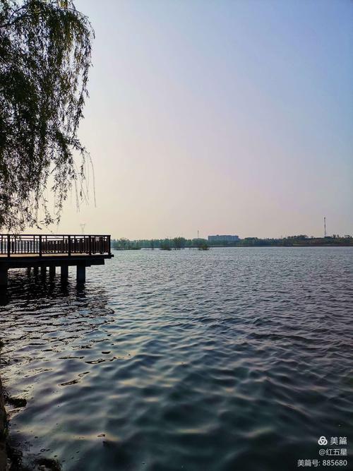 洛浦公园两岸随拍日记