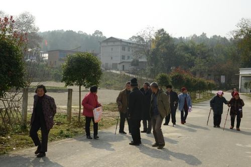 慈利县三官寺土家族乡罗潭村召开创建百岁健康村启动大会