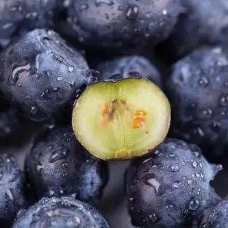 粒饱满 蓝莓果肉