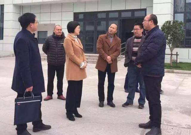 副县长齐正兰带队检查校园安全工作