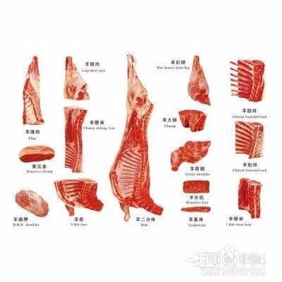 整羊怎么分割图解