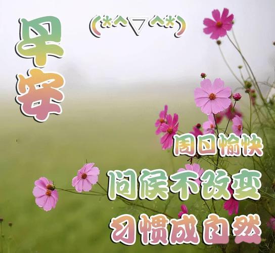 中老年人早晨祝福表情包,亲情友情,事事顺心