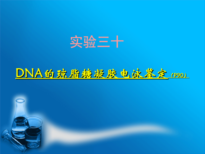 实验技术dna的琼脂糖凝胶电泳鉴定修改后sds-page.ppt