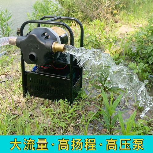12v充电式浇菜直流水泵高扬程抽水机农用灌溉大流量自吸抽水泵