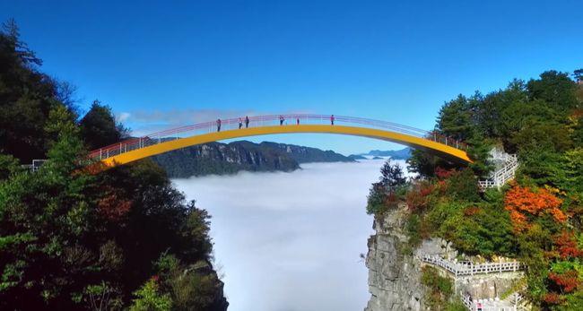 陈彩霞,神农架去广东接你了!|大九湖|天生桥|天门|氏