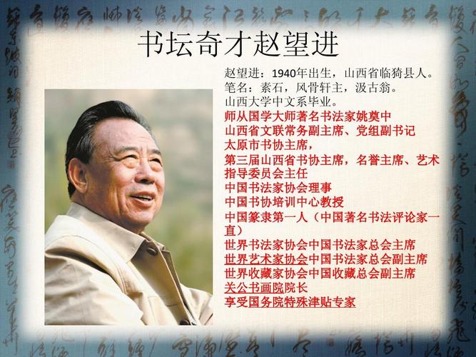 书法家赵望进ppt