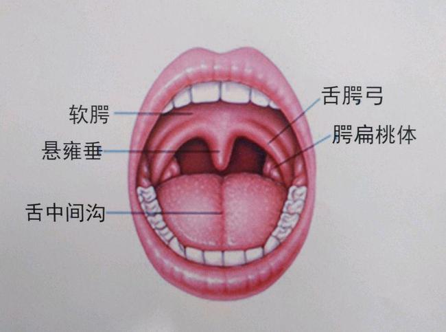 您好,如果孩子反复扁桃体发炎,首先建议去门诊治疗.