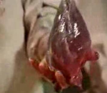 女人顺产分娩全过程胆小禁入