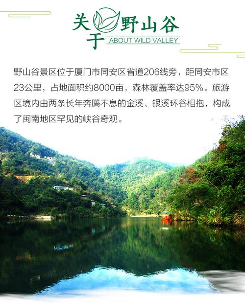 位于厦门市同安区野山谷景区的玻璃天桥 横跨于野山谷峡谷两岸,情人