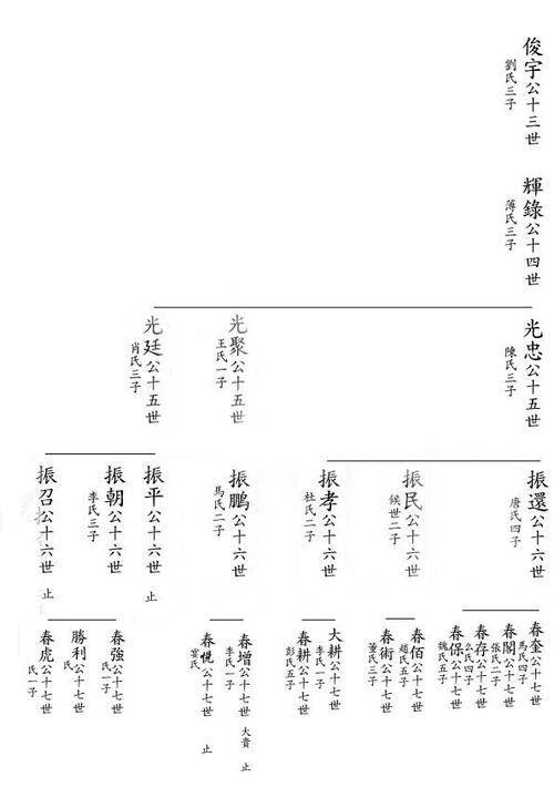 毕氏家骏宇公族谱