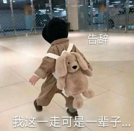 告辞,我这一走可是一辈子_告辞_一辈子_可是表情