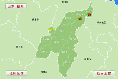 山东省德州市包括有多少个县市?