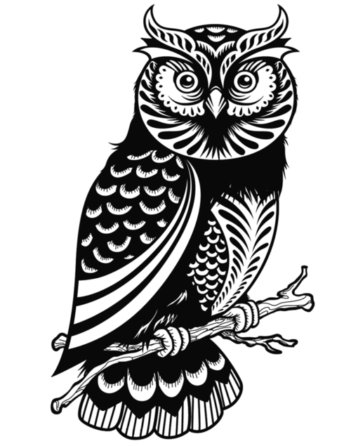 创意绿灰色简约卡通可爱猫头鹰风格分隔线分割线