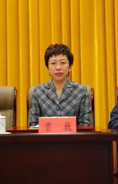 锦州市妇联召开电视电话会议传达全国妇女十二大精神