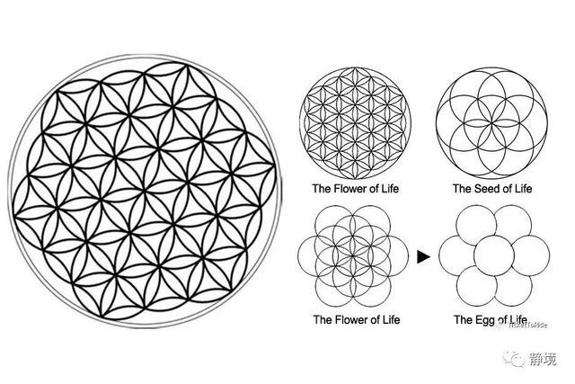 探索生命之花的古老秘密