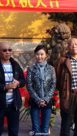 心如铁(2014年舒畅,聂远主演电视剧)