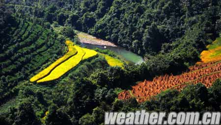 广西百色市凌云县加尤镇央里村丰收的梯田(摄影:黄桂珍)
