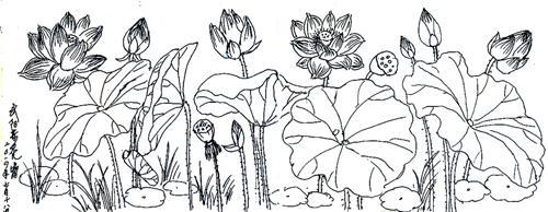 荷塘简笔画图片大全