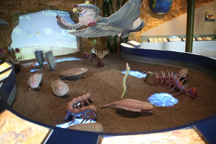 云南省澄江动物群国家地质公园博物馆