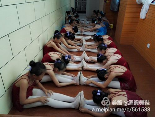 首次芭蕾舞对外公开课(一)