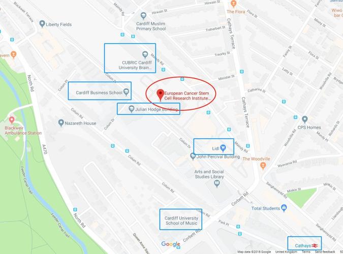 这个夏天 国内部分大学将在卡迪夫大学举办人才招聘会